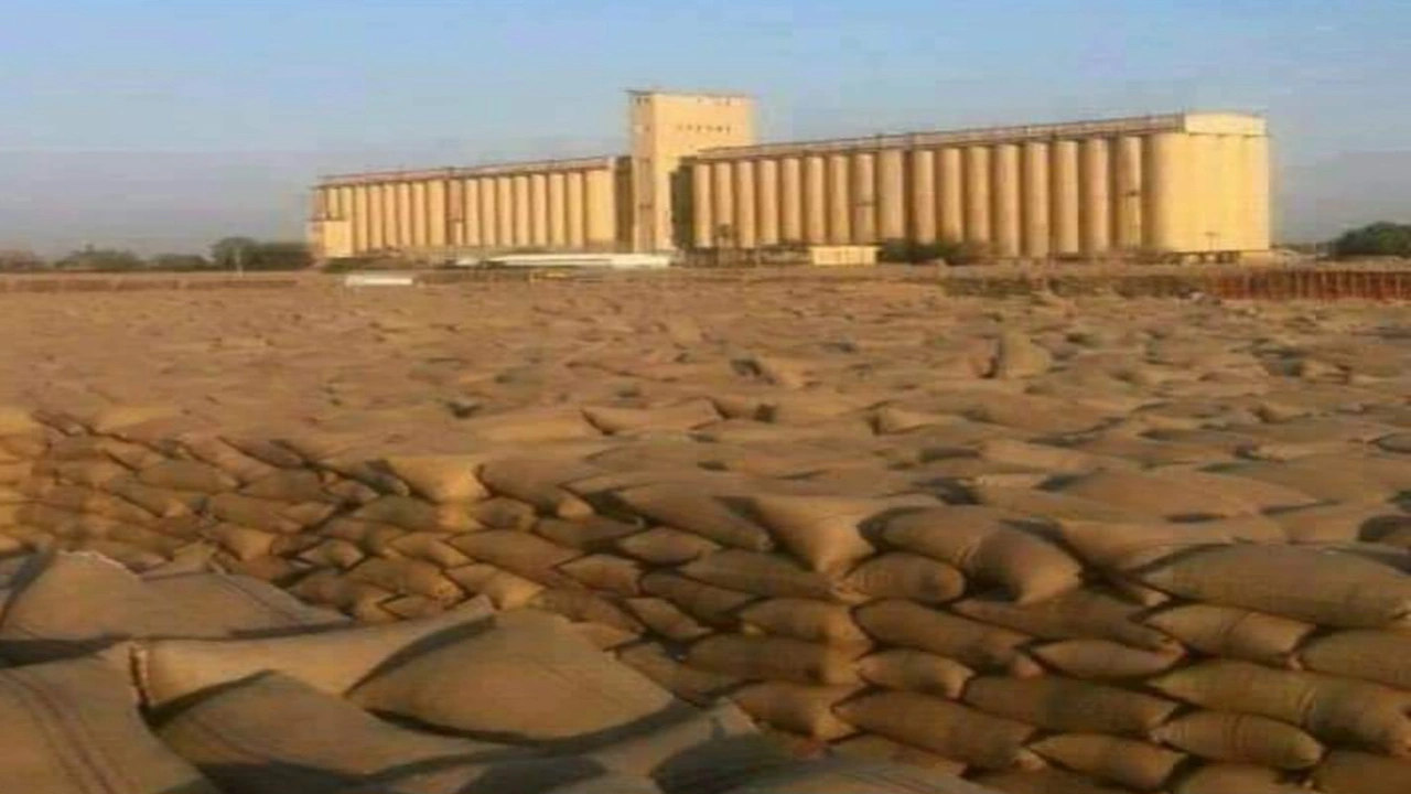 قفزة لأسعار المحاصيل في أسواق شرق السودان تثير مخاوف المواطنين من الغلاء